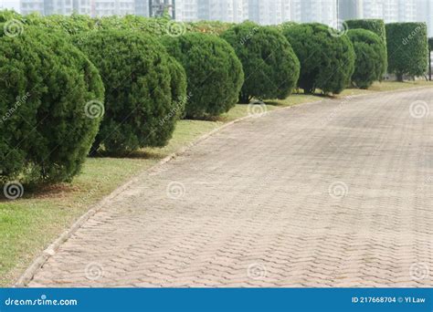 The Path Way At Penfold Park Hk 15 Oct 2005 Stock Photo Image Of