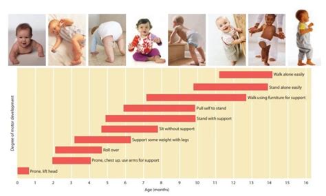 Motor Milestones From Birth To Age Twelve Edublox Online Tutor