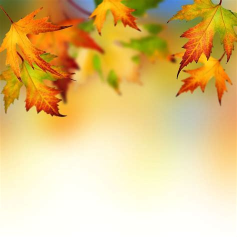 Free Road In Autumn Backgrounds For Powerpoint Nature Ppt Templates