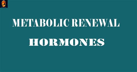 Metabolic Renewal Hormones 7 Types A Safe Life