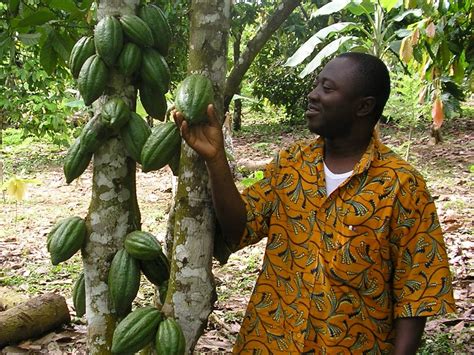 The Living Income Module Project Bridging The Gap For Cocoa Farmers