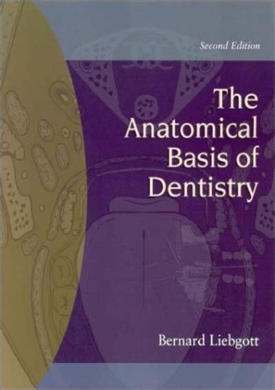 Full Pdf The Anatomical Basis Of Dentistry 2nd Edition