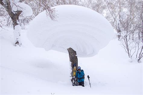 Niseko Powderlife