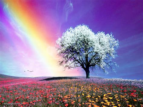 Rainbow Bright Colors Wallpaper 18591236 Fanpop