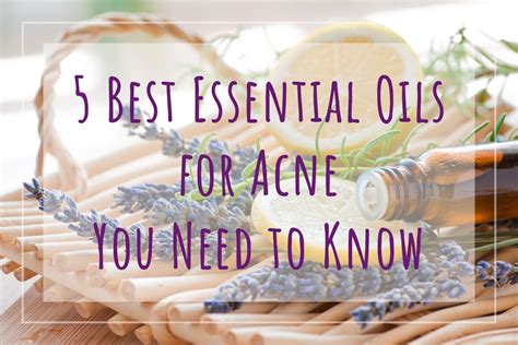 5 Best Essential Oils For Acne You Need To Know Punica Makeup