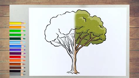 Baum Zeichnen Schritt Für Schritt 🌳 Tree Drawing How To Draw A Tree