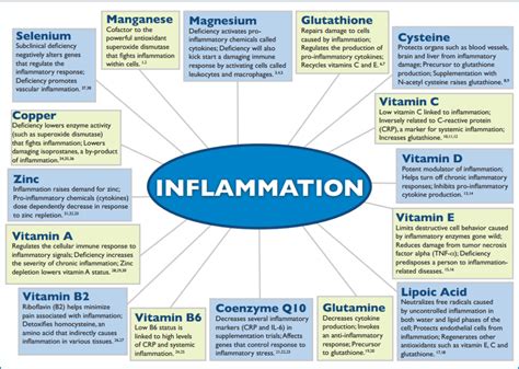Inflammation Infographic Dr Jack Wolfson Integrative Cardiology Blog