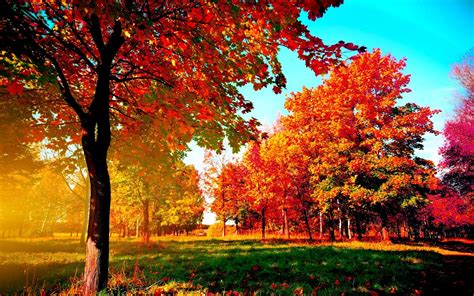 Fall Scenery Wallpaper For Computer 48 Images