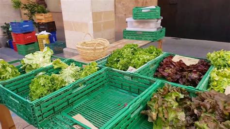 Qué día se celebra el mercadillo en Benicarló Vuelos a 1 euro