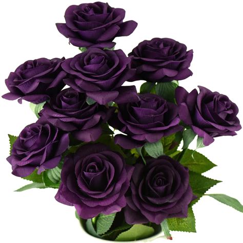 Flower purple spots (not patterns as above) on labellum. Real Touch 10 Stems Dark Purple Silk Artificial Roses ...
