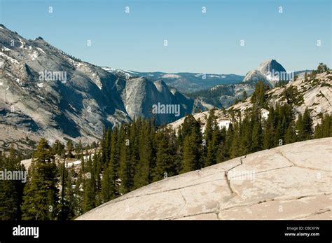 Olmsted Point Granite Scene Yosemite National Park California Usa