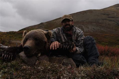 Alaska Montana Hunts Moose Dall Sheep Grizzly Bear Black Bear