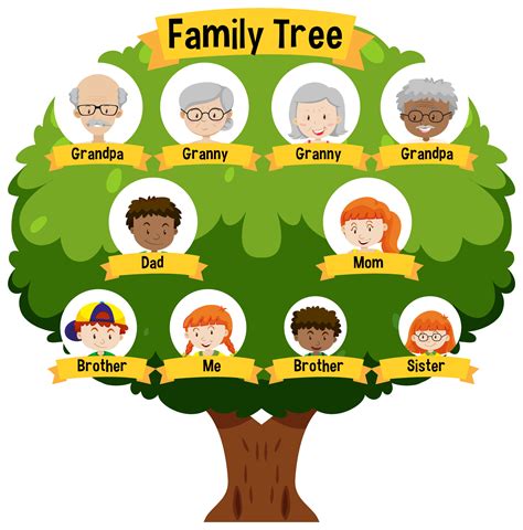 Banyak Manfaatnya Begini Cara Membuat Pohon Keluarga Whiz