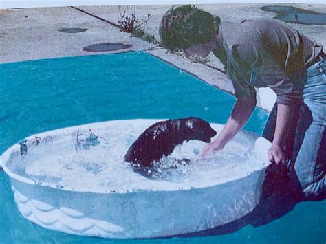 Marine Mammal Center Reopens To Public — The Sausalito Historical Society