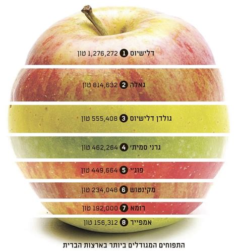 Apple Diagram Apple Fruit Food