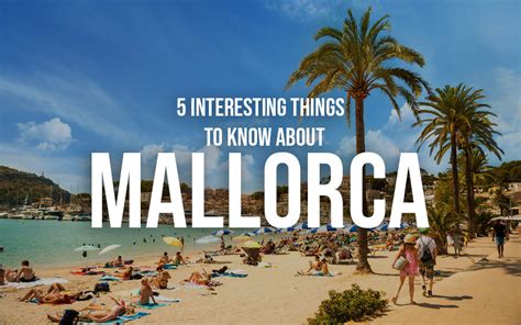What To See Eat And Drink In Palma De Mallorca My Rental Homes