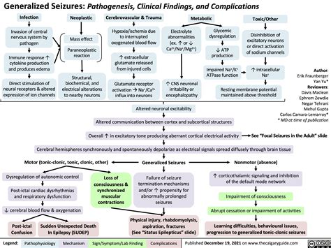 Generalized Seizures Pathogenesis Clinical Findings And Complications Calgary Guide