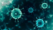 日本發現新型變種病毒 研判來自巴西亞馬遜州│新冠肺炎│旅客│疫情│TVBS新聞網