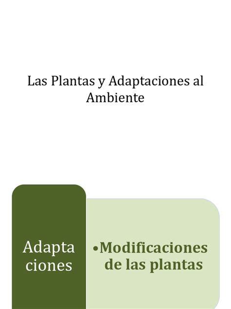 Adaptaciones En Las Plantas Pdf