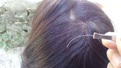 Plucking Gray Hair On Her Head The Head Feels Light And Does Not
