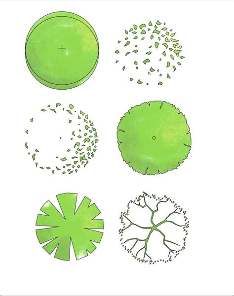 Free Photoshop Trees For Download Tree Plan Architectural Trees