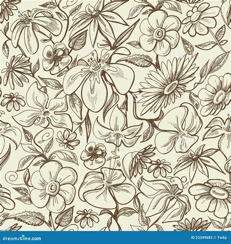 Graphic Floral Seamless Pattern Stock Vector Illustration Of Draw