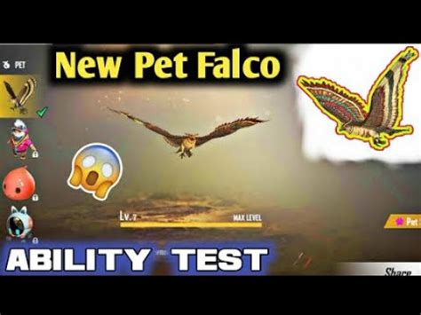 Free fire new pet mr waggor skill test. FREE FIRE NEW PET FALCO ABILITY TEST|| MAX LEVEL|| GARENA ...