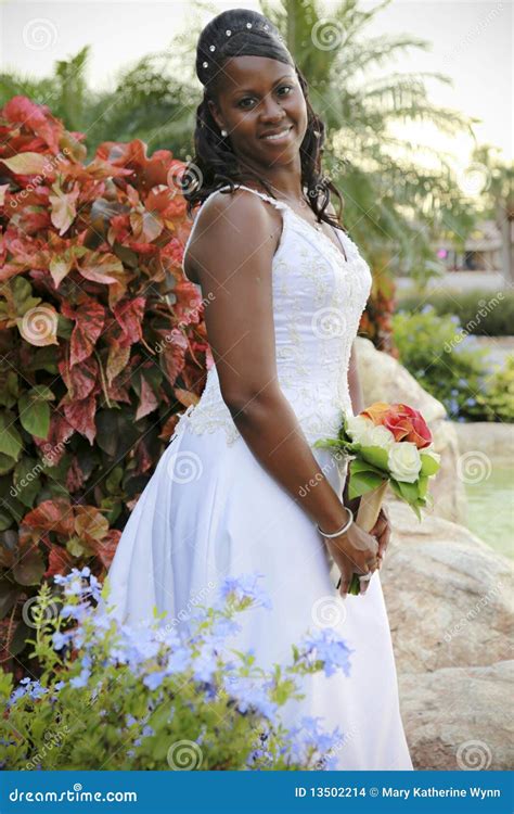 African American Bride Stock Photo Image Of American 13502214