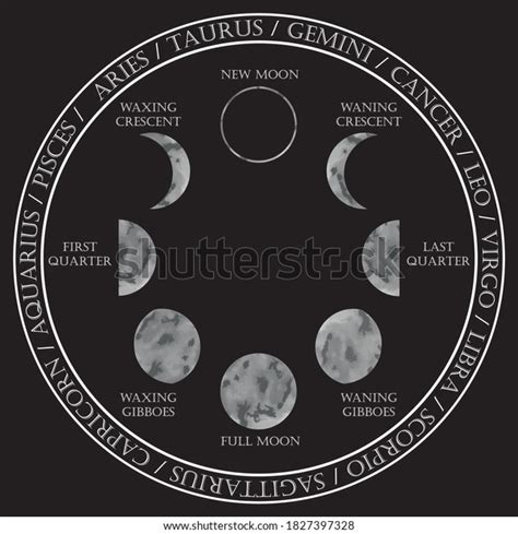 Moon Phases Illustrations Zodiac Signs Astrological Stock Vector