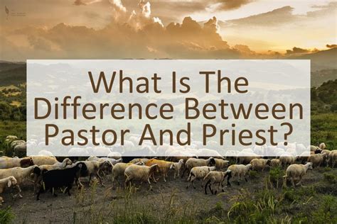 What Is The Difference Between Pastor And Priest Similar Different
