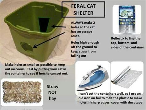 How To Build A Feral Cat Shelter For Winter Cat Lovster