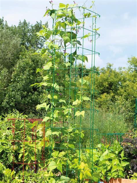 Pole Bean Growing Tower Ph