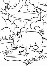 Pig Coloring Animals категории все раскраски из sketch template