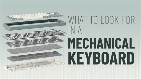 Guide To Mechanical Keyboards Everything You Need To Know