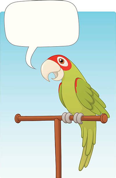 Parrot Talking Illustrations Royalty Free Vector Graphics And Clip Art