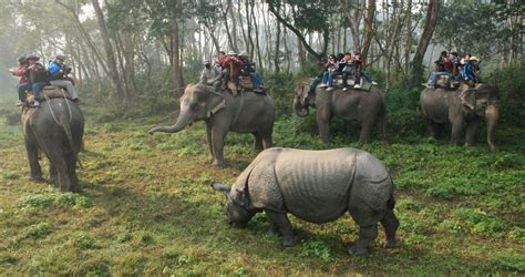 Nepal Safari Holiday Travel And Tour Package