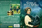 Sección visual de Gorilas en la niebla - FilmAffinity