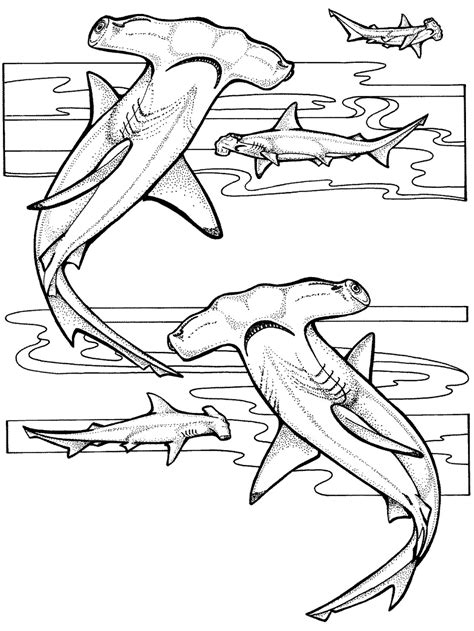 Free Printable Ocean Coloring Pages Under The Sea