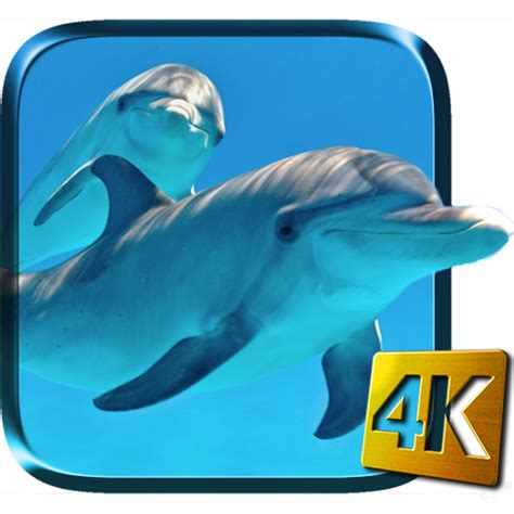 Dolphins Live Wallpaper Android Apk Free Download Apkturbo