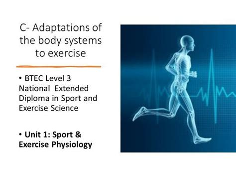Unit 1 Exercise Physiology Skeletal System Adaptations Teaching