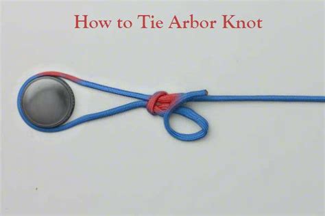 How To Tie Arbor Knot Learn How To Tile Arbor Know In Step By Step