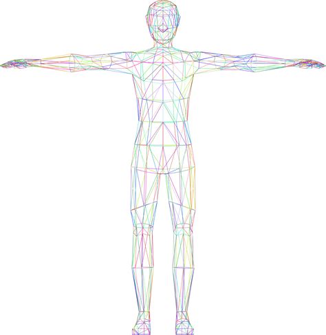 Humans clipart wireframe, Humans wireframe Transparent ...