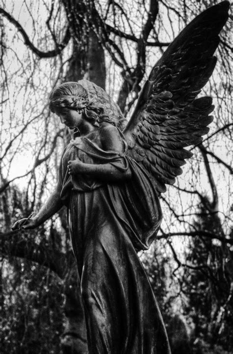Pin By Adrian Zamarripa On Angels In 2019 Pinterest Angel Statues