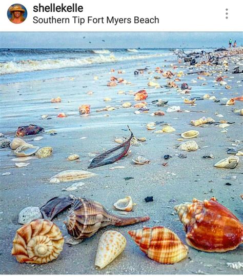 Pin By Mona Ray On Beach Comber Fort Myers Beach Sea