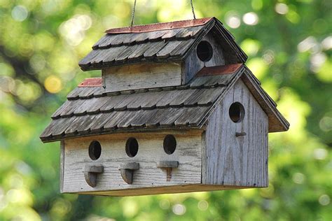 Tips For Building Bird Houses Including What Birds Need To Be