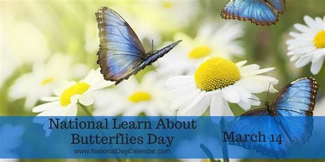 National Learn About Butterflies Day March 14 National Day Calendar