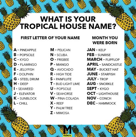 We Made You A Tropical House Name Generator Magnetic Magazine Funny Name Generator Funny