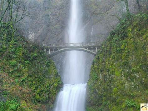 Oregon Multnomah Falls Waterfall Beautiful Waterfalls Nature