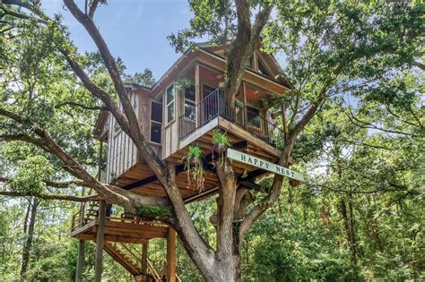 Kellys treehouse facebook quotes : Kelly's Treehouse Happy New Year : Treehouse Reopens In ...