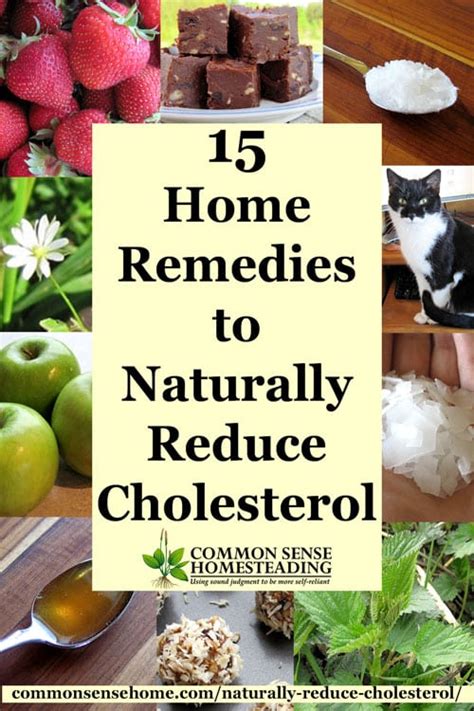 15 Home Remedies to Naturally Reduce Cholesterol
